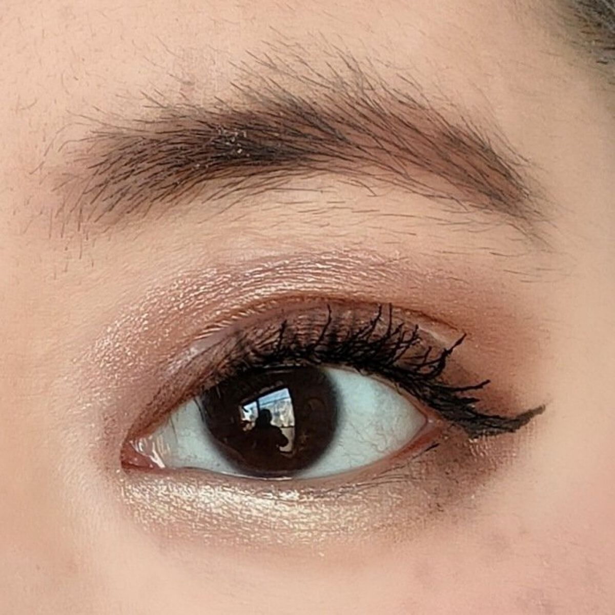 ブルーミングアイカラーパレットb (TOKYO GIRLS COLLECTION) 01 ブラウン/U R GLAM/アイシャドウパレットを使ったクチコミ（3枚目）