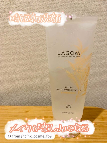 ジェルトゥウォーター クレンザー(KI)(朝洗顔料)/LAGOM /その他洗顔料を使ったクチコミ(1枚目)