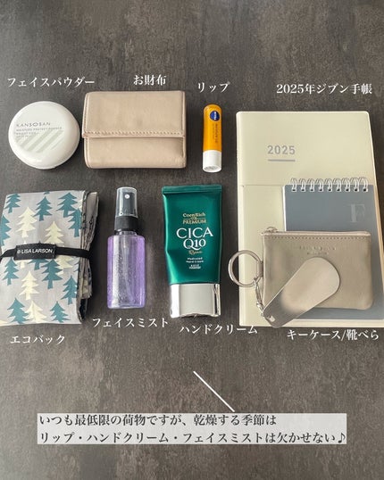 メイクアップフィクシングミスト/COSCOS/フィックスミストを使ったクチコミ(2枚目)