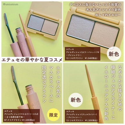 エテュセ アイエディション(カラーパレット)/ettusais/アイシャドウパレットを使ったクチコミ(3枚目)