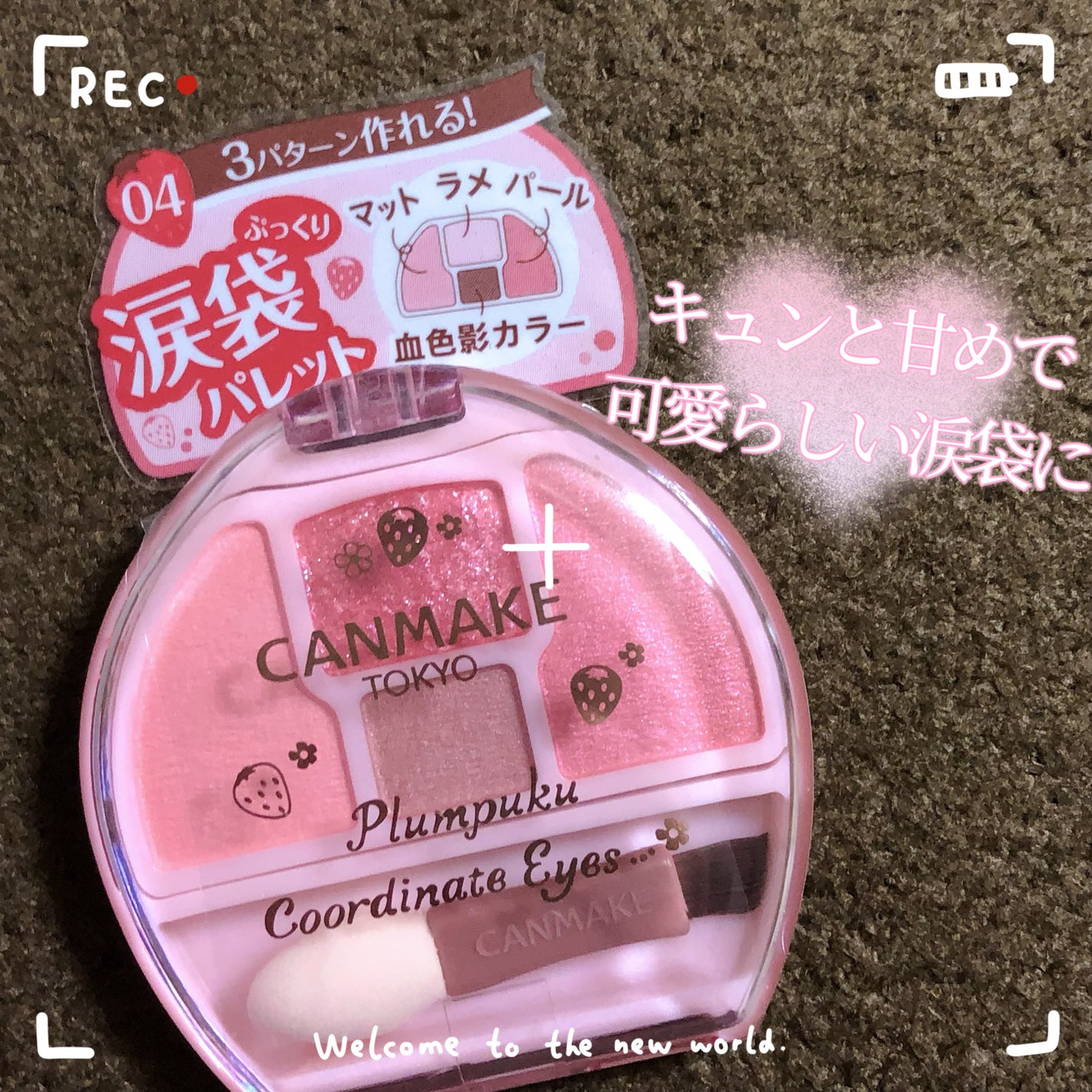 プランぷくコーデアイズ/キャンメイク/パウダーアイシャドウを使ったクチコミ(1枚目)