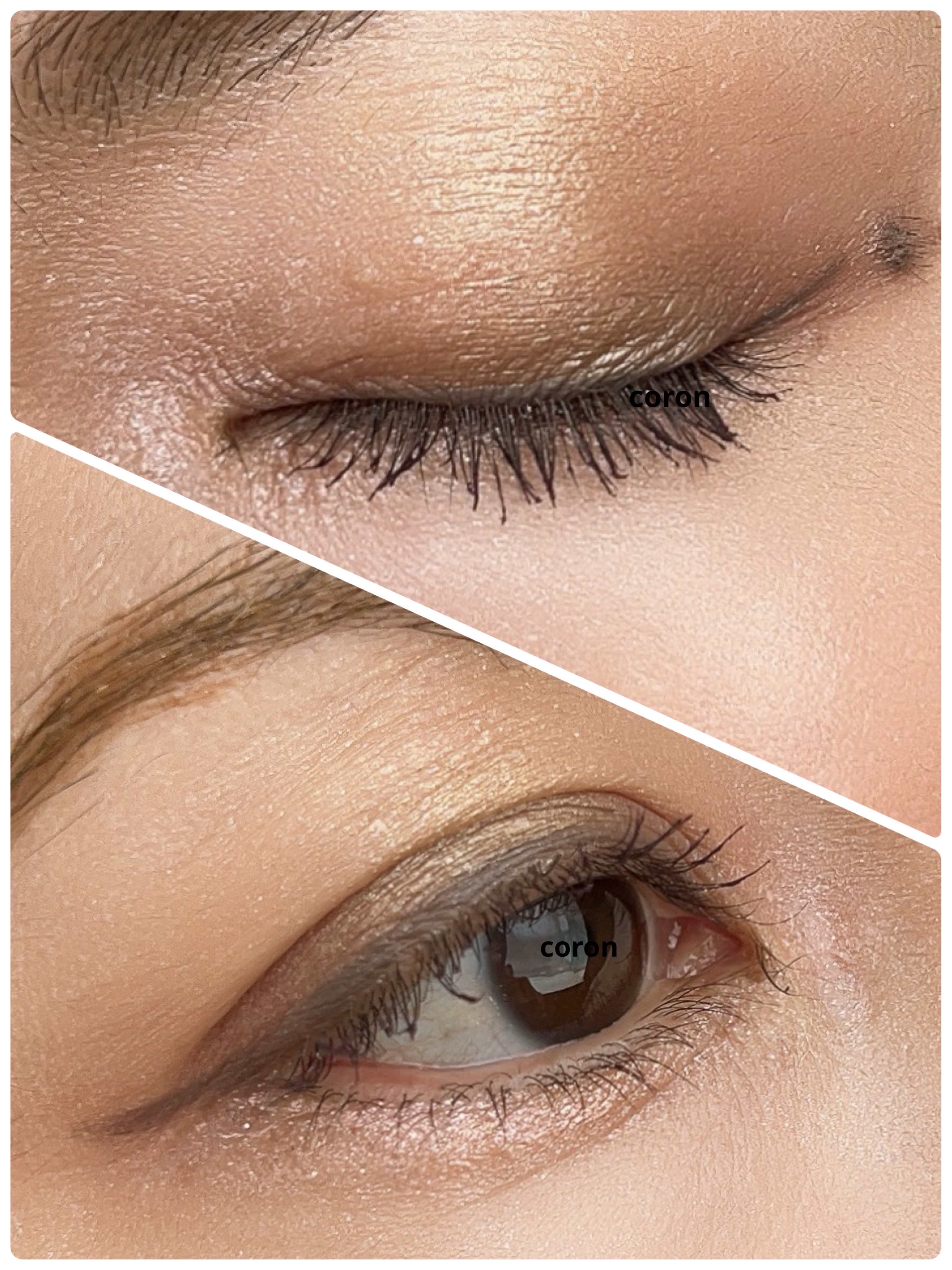 ホリデーコレクション パレット 2024/THREE/アイシャドウパレットを使ったクチコミ（2枚目）