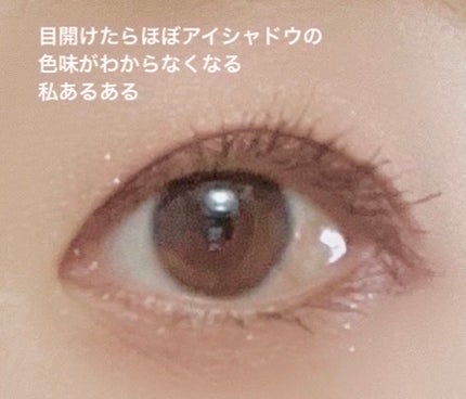 パーフェクトスタイリストアイズ/キャンメイク/アイシャドウパレットを使ったクチコミ(5枚目)