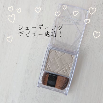 ナチュラルマットシェーディング/CEZANNE/シェーディングを使ったクチコミ(1枚目)