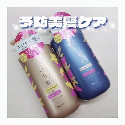 ãã¡ãŒãžãªãã¢ïŒã«ã©ãŒã±ã¢ ã·ã£ã³ããŒ/ã³ã³ãã£ã·ã§ããŒ/ãã¡é«ª/åžè²©ã·ã£ã³ããŒã䜿ã£ãã¯ãã³ãïŒ1æç®ïŒ