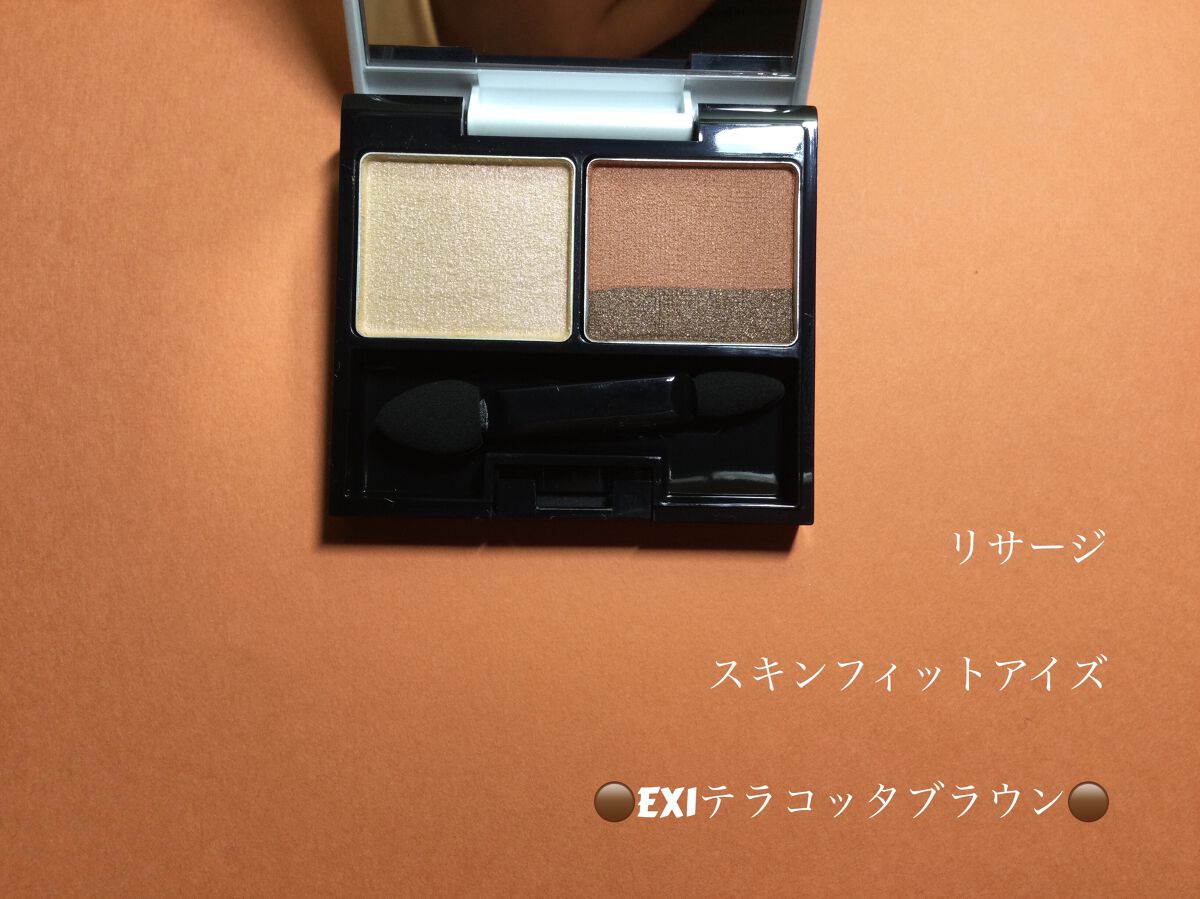 スキンフィットアイズ EX1 テラコッタブラウン/リサージ/アイシャドウパレットを使ったクチコミ（1枚目）