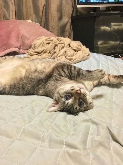 薬用ホワイトニングリフトケアジェル ノーマル/シミウス/オールインワン化粧品を使ったクチコミ(1枚目)