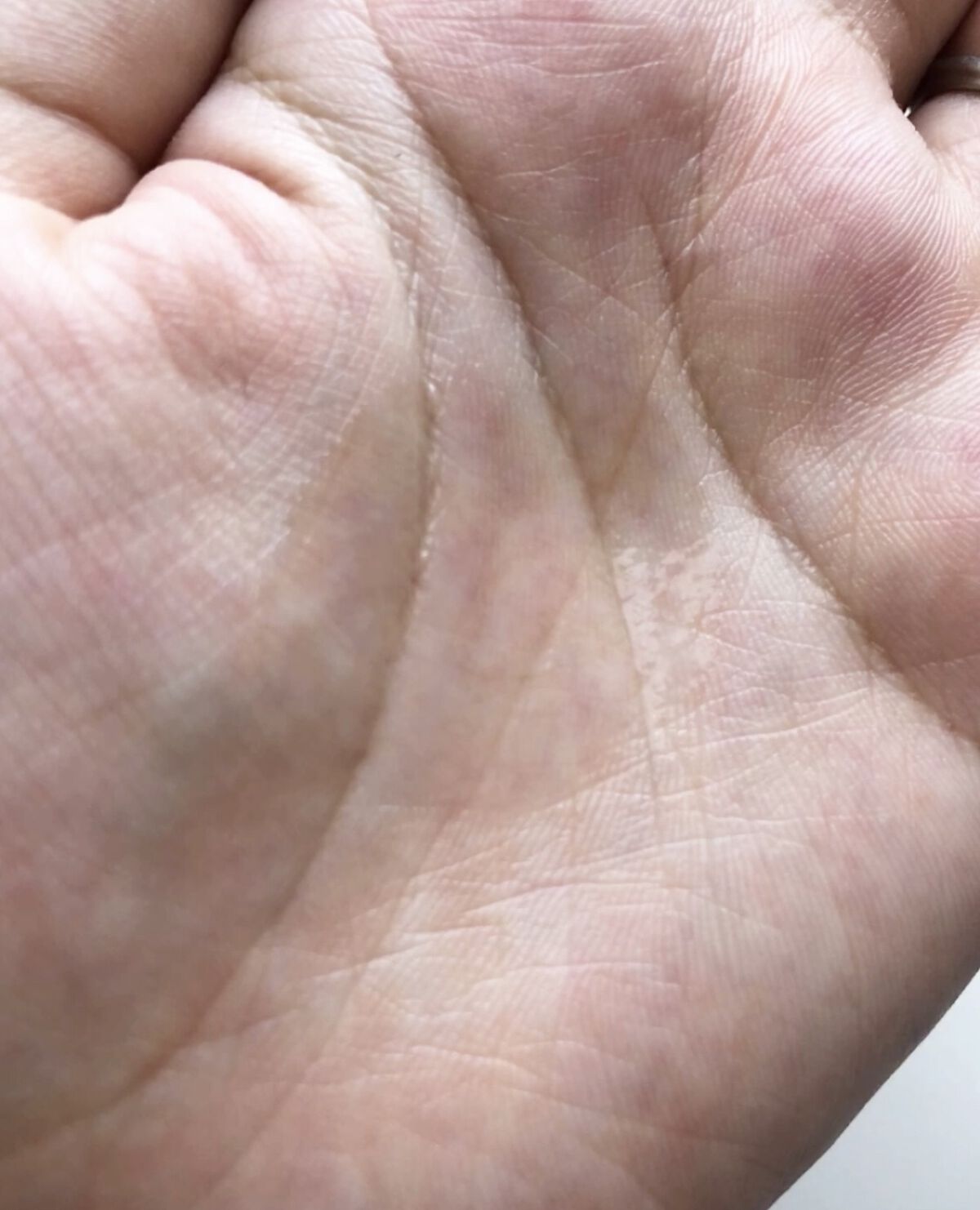 スキャルプリバイタライザー/ザ・プロダクト/頭皮ローションを使ったクチコミ（3枚目）