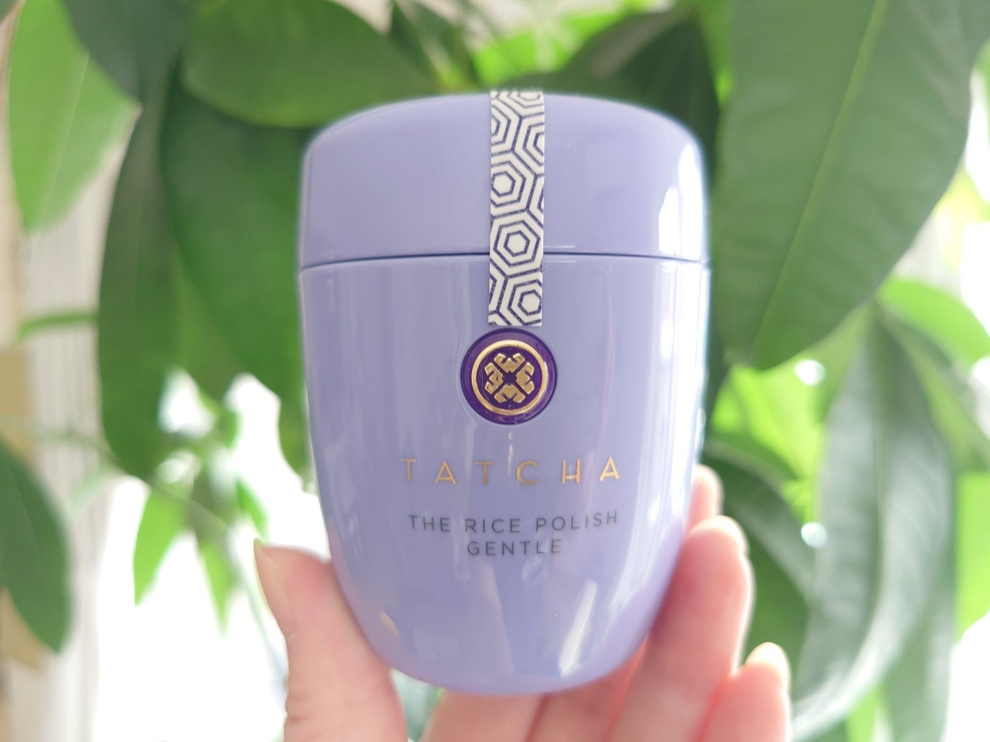 ライスポリッシュジェントル/タッチャ/洗顔パウダーを使ったクチコミ(2枚目)