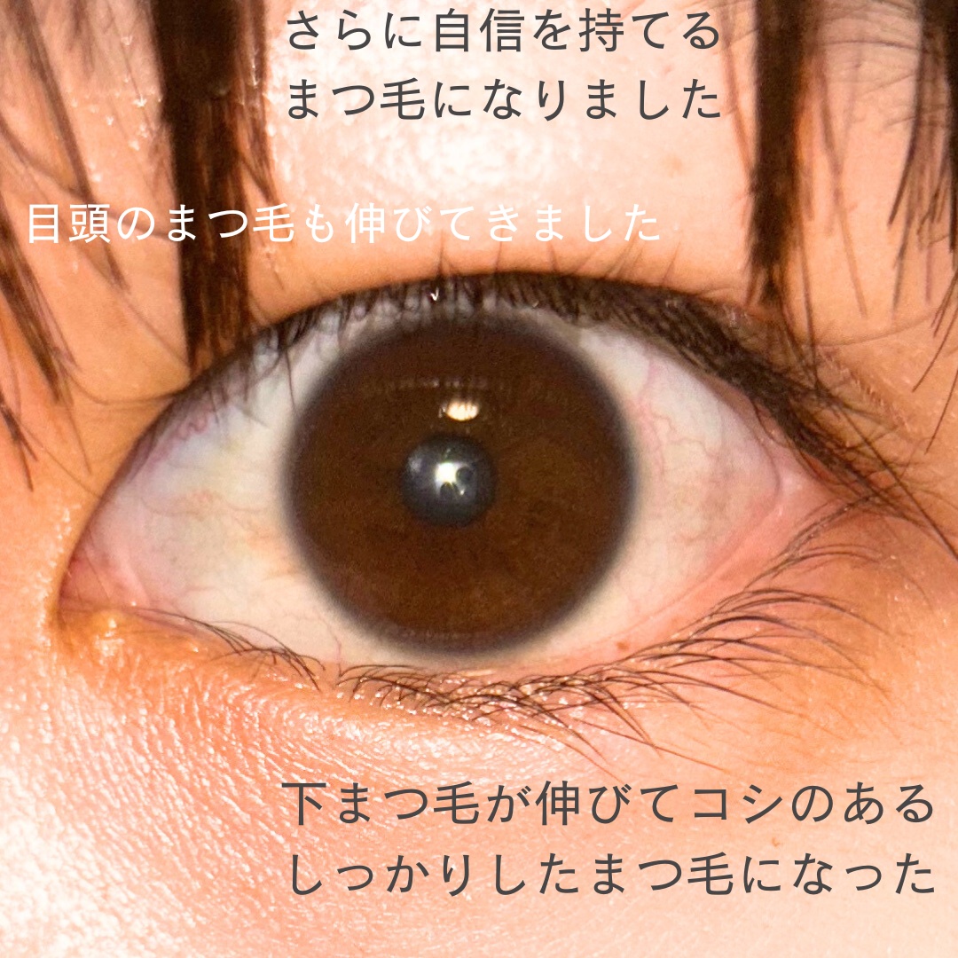 ラッシュジェリードロップ　ＥＸ/MAJOLICA MAJORCA/まつげ美容液を使ったクチコミ（3枚目）