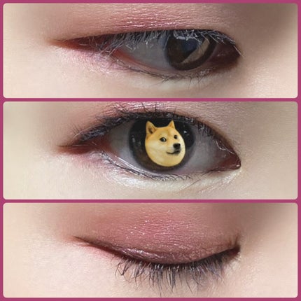 パーフェクトスタイリストアイズ/キャンメイク/アイシャドウパレットを使ったクチコミ(3枚目)