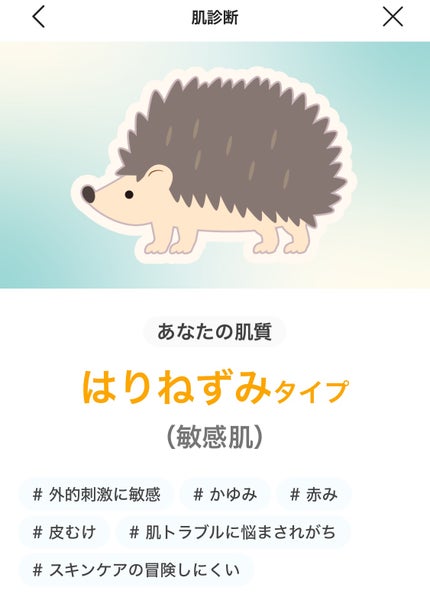 を使ったクチコミ(1枚目)