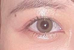 Angelcolor Bambi Series 1day /AngelColor/ワンデー(1DAY)カラコンを使ったクチコミ(1枚目)