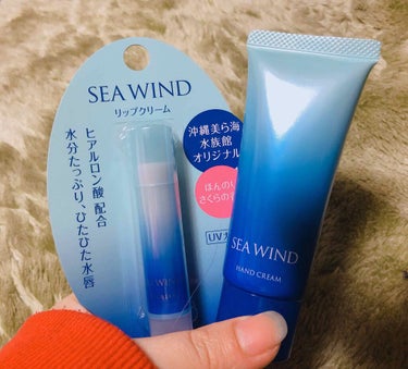 沖縄美ら海水族館リップクリーム/SEAWIND/リップケア・リップクリームを使ったクチコミ（1枚目）