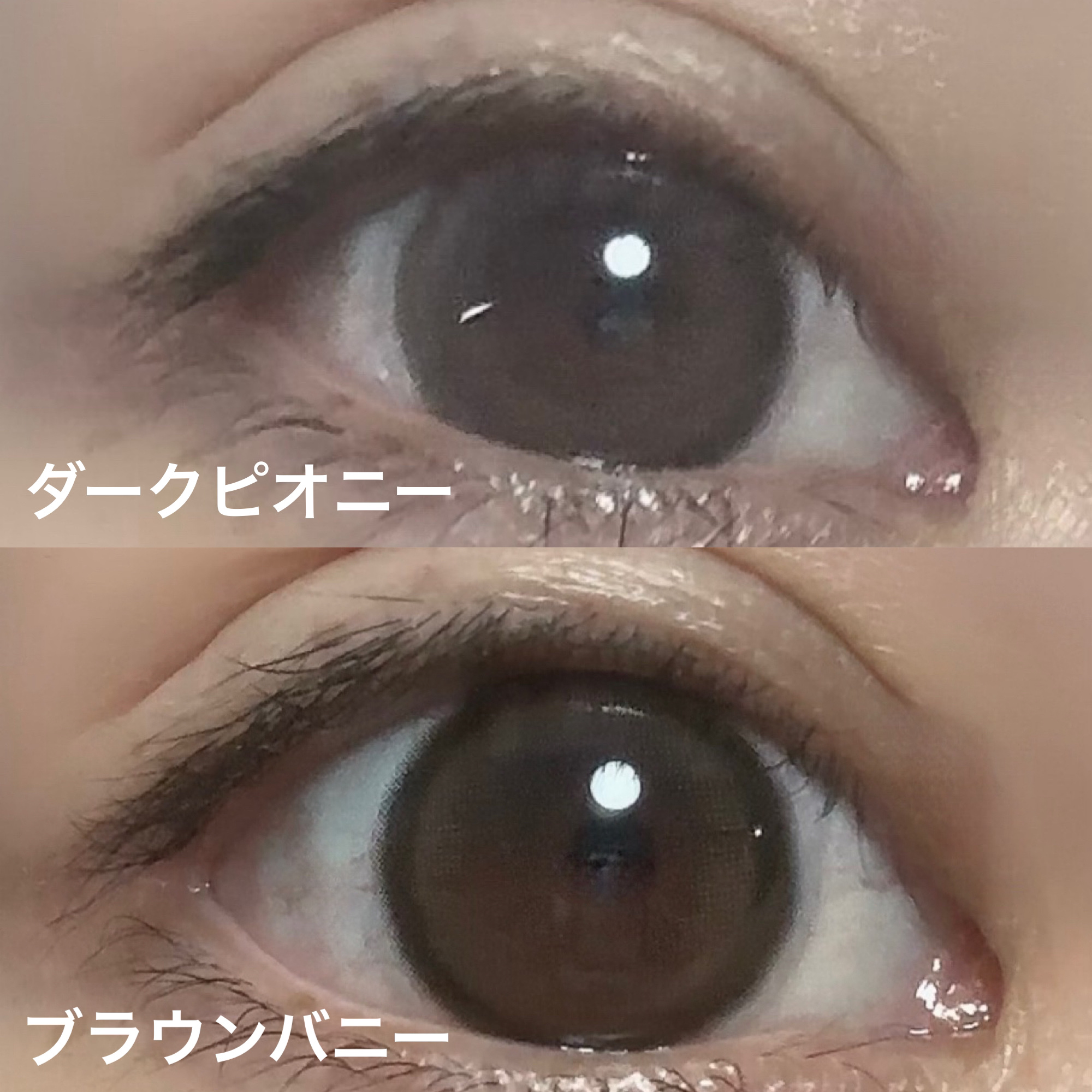 MOLAK 1month/MOLAK/１ヶ月（１MONTH）カラコンを使ったクチコミ（3枚目）