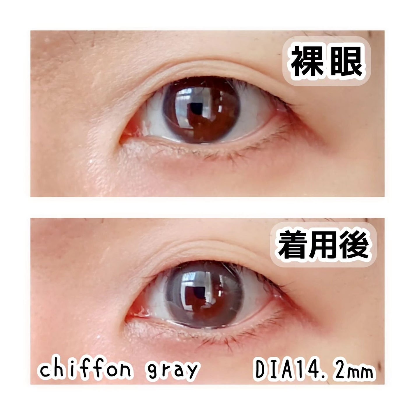 chiffon/meilly/ワンデー(1DAY)カラコンを使ったクチコミ(2枚目)