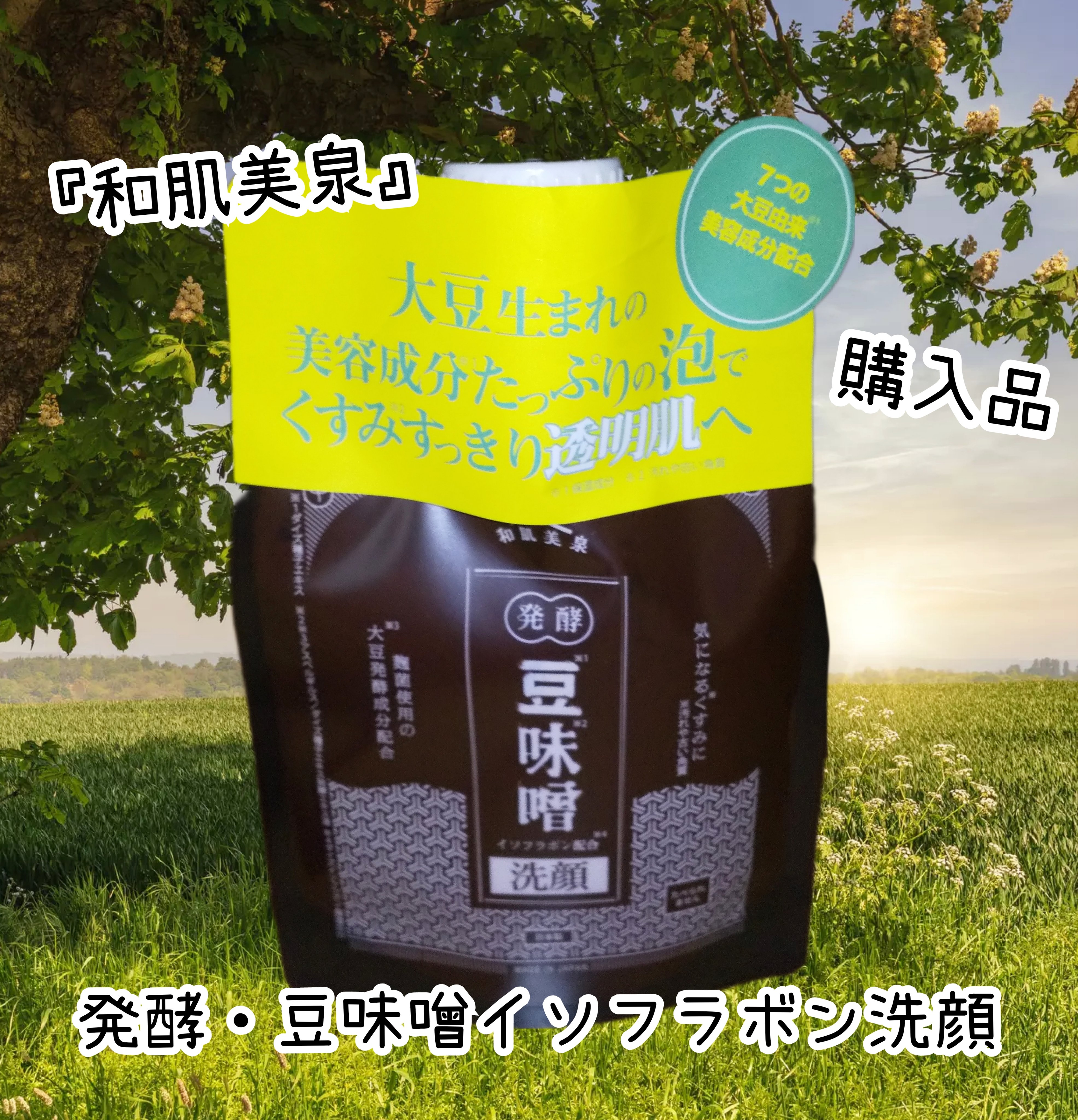 発酵・豆味噌イソフラボン洗顔/和肌美泉/洗顔フォームを使ったクチコミ（1枚目）
