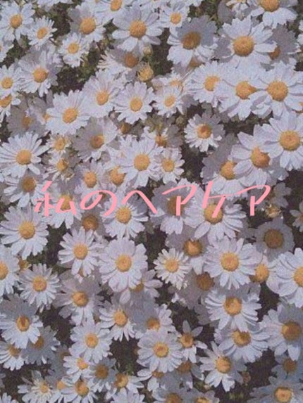 しっとりまとまるヘアクリーム /モモリ/ヘアミルクを使ったクチコミ(1枚目)