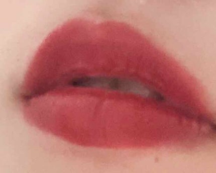 口紅(詰替用)/ちふれ/口紅を使ったクチコミ(1枚目)