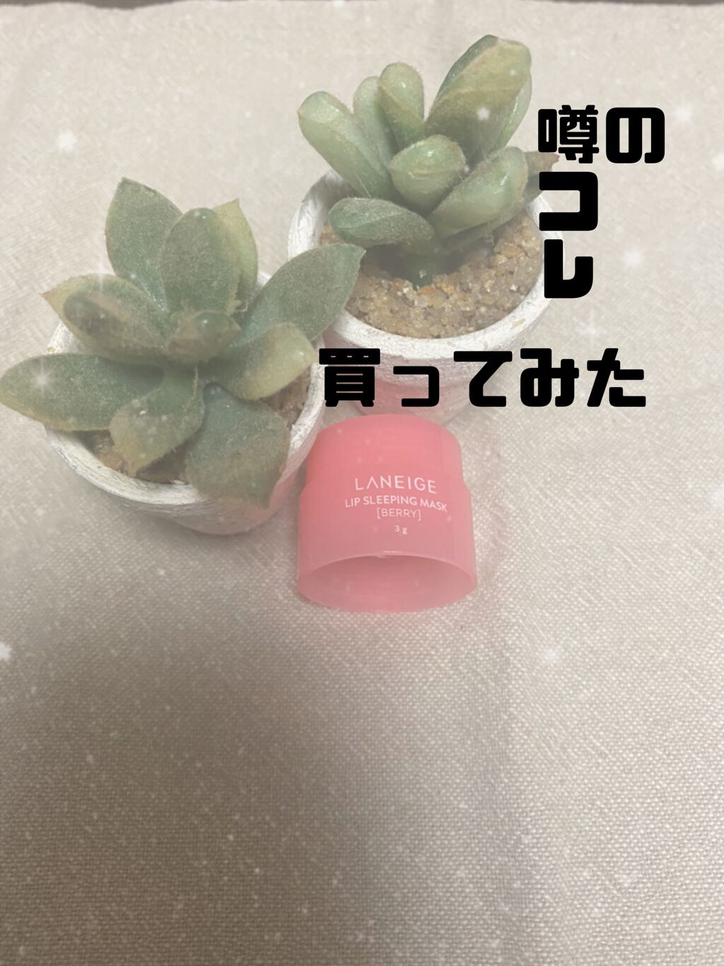 リップスリーピングマスク/LANEIGE/リップバームを使ったクチコミ(1枚目)