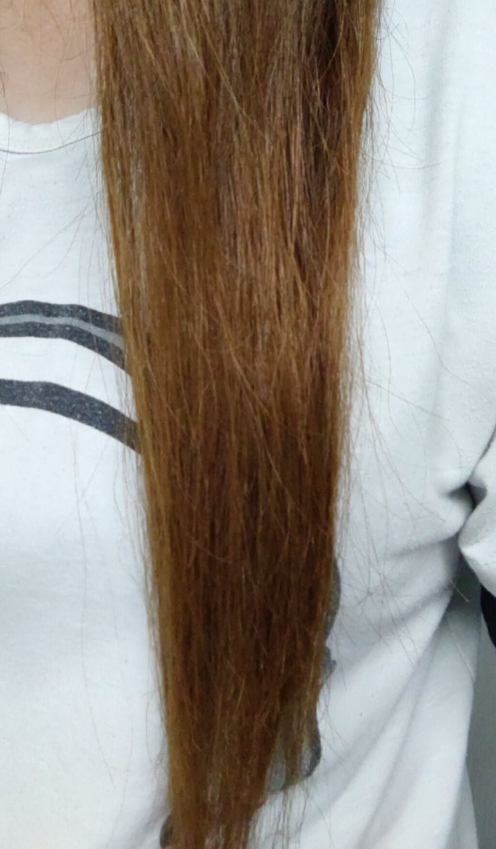 プレミアムトリートメント MOIST/COLORIS/洗い流すヘアトリートメントを使ったクチコミ(5枚目)