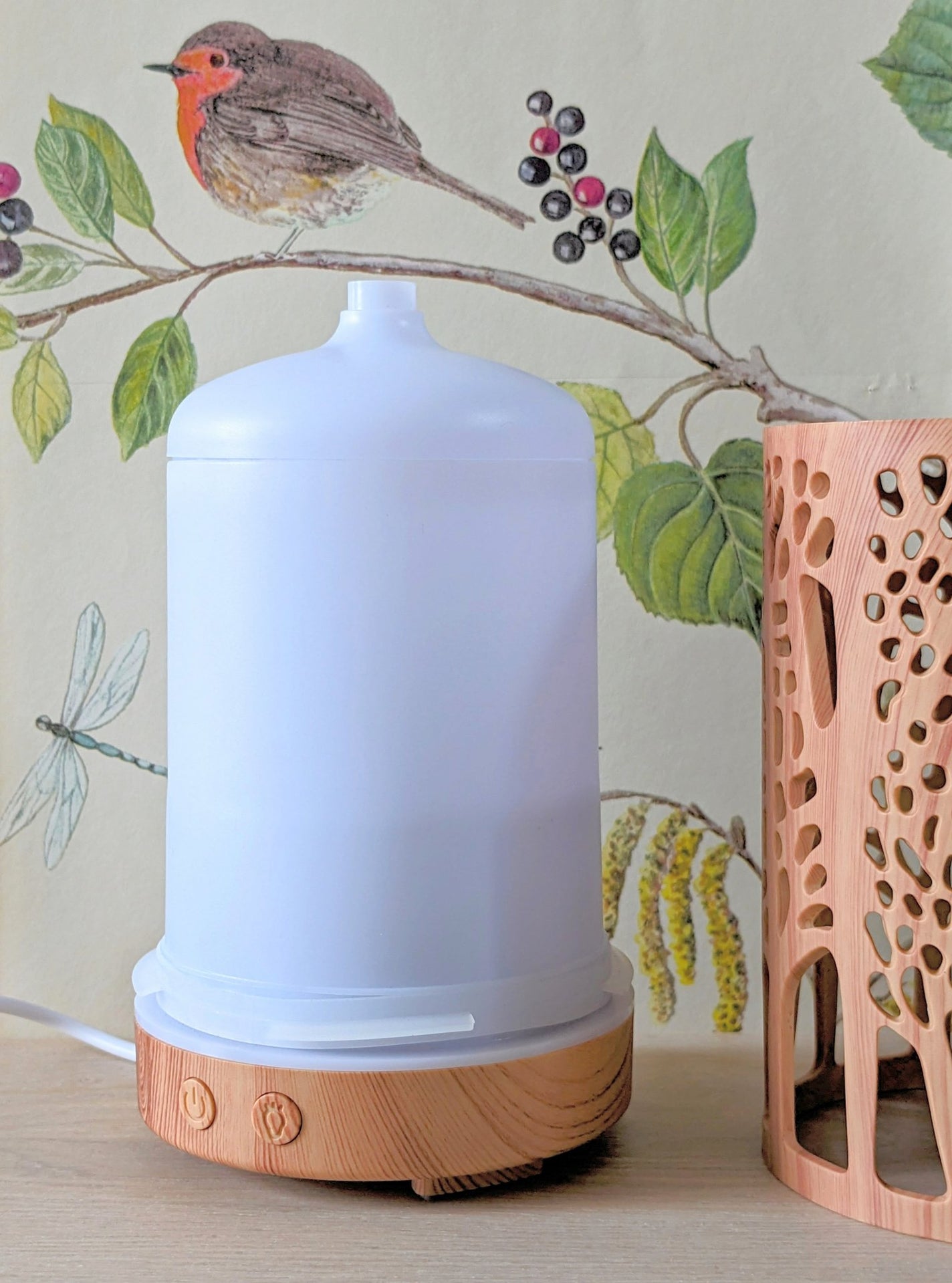 コスメ大好き☆きらら on LIPS 「コエタスのモニターキャンペーンを通して、ENHANCERYアロ..」(2枚目)