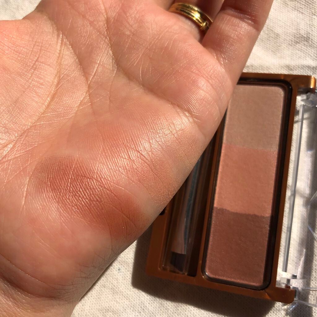 ノーズ&アイブロウパウダー/CEZANNE/パウダーアイブロウを使ったクチコミ(3枚目)