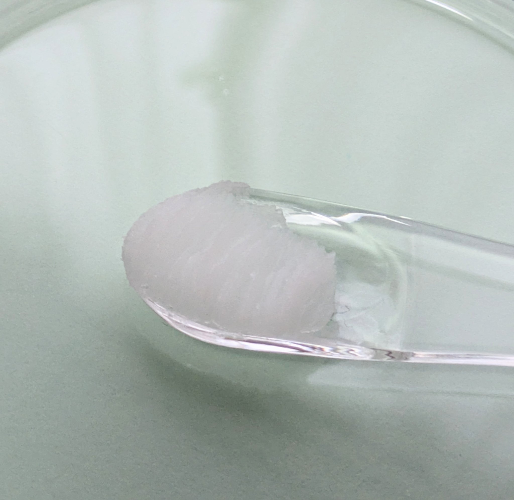 センテラサンフラワーメイクメルティングクレンジングバーム/haruharu wonder/クレンジングバームを使ったクチコミ（2枚目）