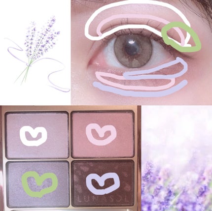 シャインフォールアイズ/LUNASOL/アイシャドウパレットを使ったクチコミ(5枚目)