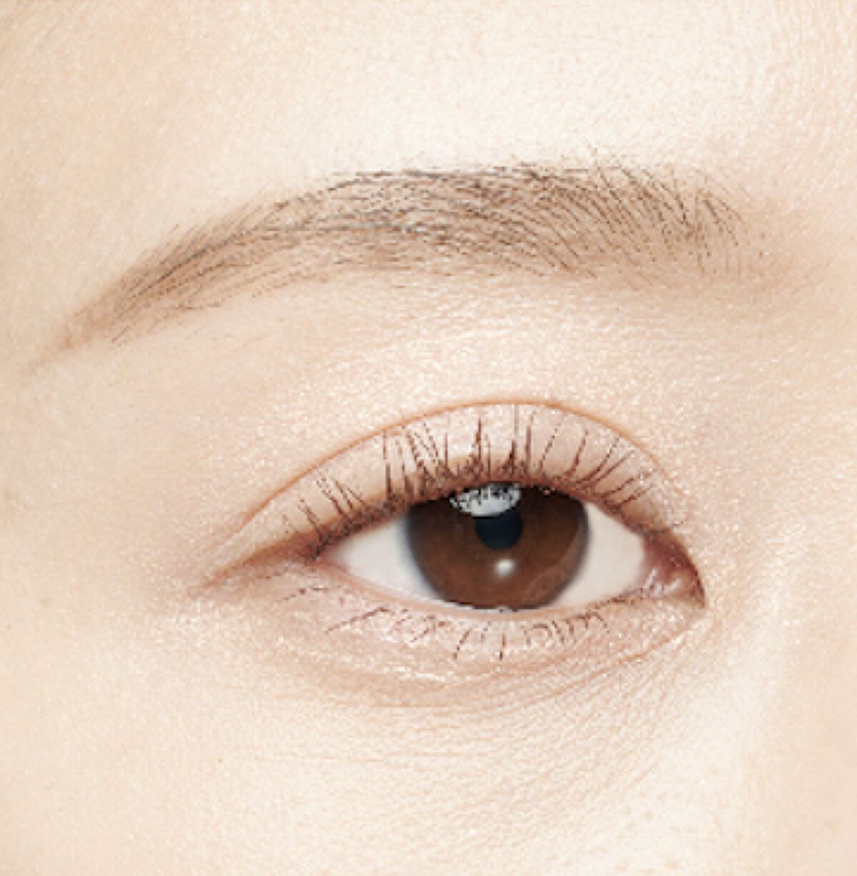 フォレスト フィール セイバー カールマスカラ 02 茜