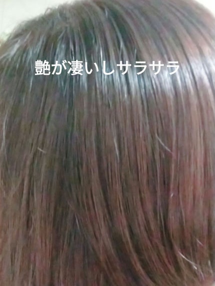 ã¹ã«ã«ãD ããŒã ããã¥ã©ã¹ã¿ãŒ ã¹ã«ã«ãã·ã£ã³ããŒïŒããªãŒãã¡ã³ãããã¯/ã¢ã³ãã¡ãŒ(ã¹ã«ã«ãD)/ã·ã£ã³ããŒã»ã³ã³ãã£ã·ã§ããŒã䜿ã£ãã¯ãã³ãïŒ4æç®ïŒ