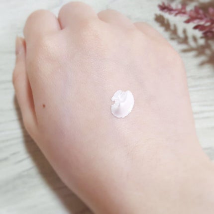 チェリーブロッサム トーンアップ クリーム UV/innisfree/フェイスクリームを使ったクチコミ(3枚目)