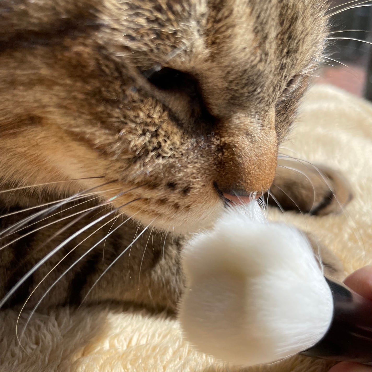 Nyarmingãããã®ã¡ã€ã¯ãã©ã·/è²å°/ã¡ã€ã¯ãã©ã·ã䜿ã£ãã¯ãã³ãïŒ3æç®ïŒ