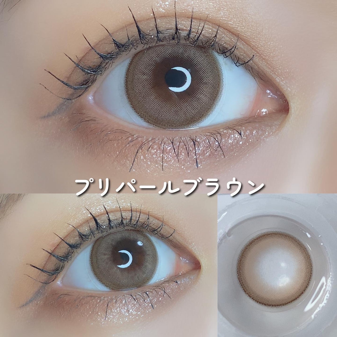 pui @カラコンオタク on LIPS 「˗ˏˋプリで盛れる🦋プリモア全色レポˎˊ˗ 𓂃𓂃𓂃𓂃𓂃𓂃𓂃𓂃𓂃..」(2枚目)