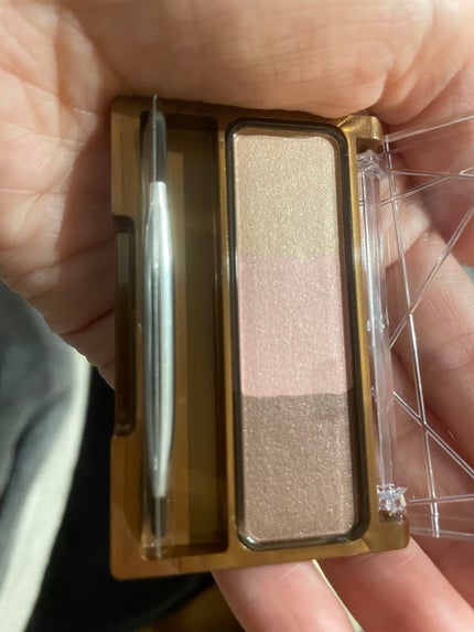 ノーズ&アイブロウパウダー/CEZANNE/パウダーアイブロウを使ったクチコミ(1枚目)