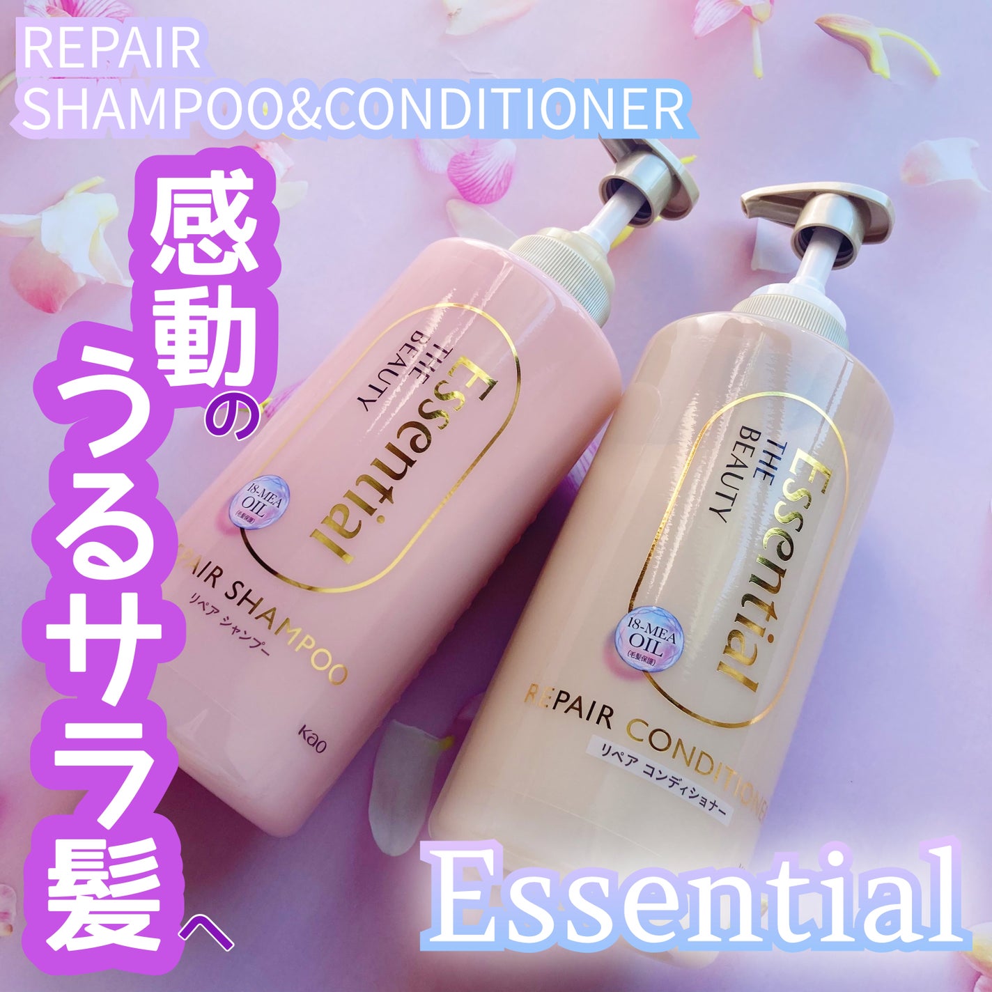 ã¶ãã¥ãŒã㣠ãªãã¢ã·ã£ã³ããŒã»ã³ã³ãã£ã·ã§ããŒ/ãšãã»ã³ã·ã£ã«/åžè²©ã·ã£ã³ããŒã䜿ã£ãã¯ãã³ãïŒ1æç®ïŒ