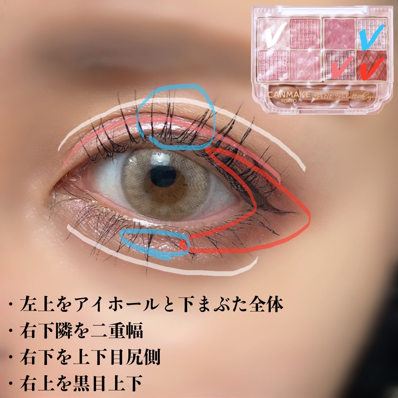 プティパレットアイズ/キャンメイク/パウダーアイシャドウを使ったクチコミ(4枚目)