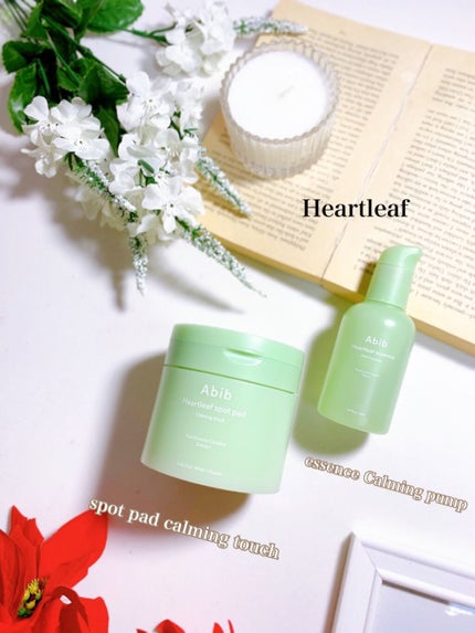 ドクダミカーミングタッチスポットパッド/Abib /トナーパッドを使ったクチコミ(1枚目)