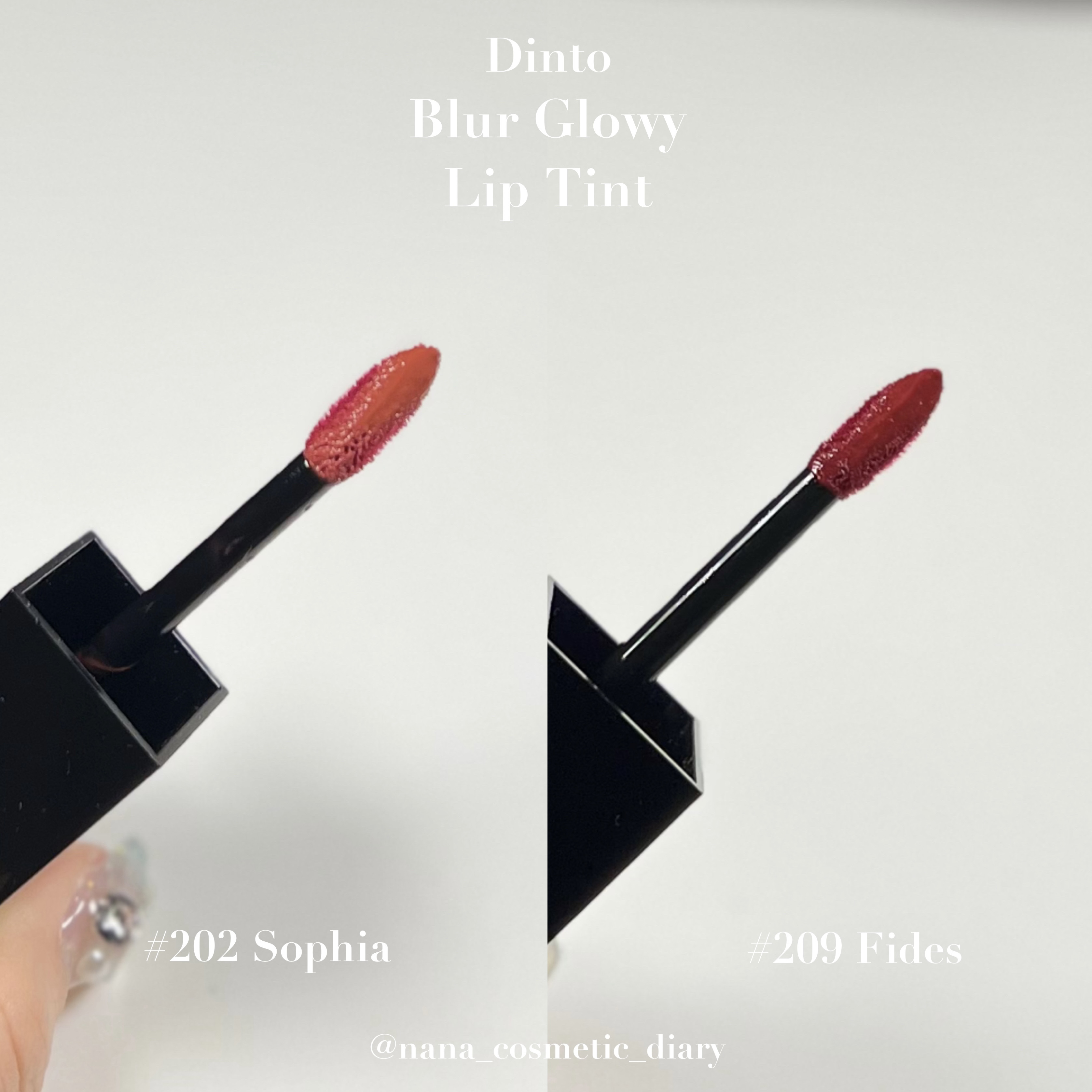 ブラーグロイリップティント 209 フィデス/Dinto/リップティントを使ったクチコミ（2枚目）