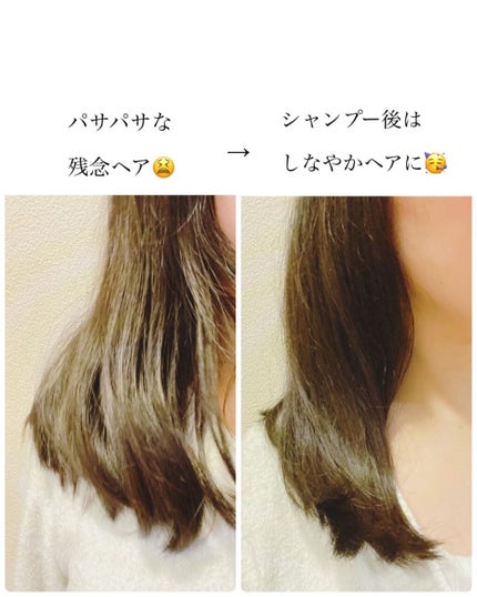 SHAMPOO & REPAIR/MEDULLA/市販シャンプーを使ったクチコミ(4枚目)