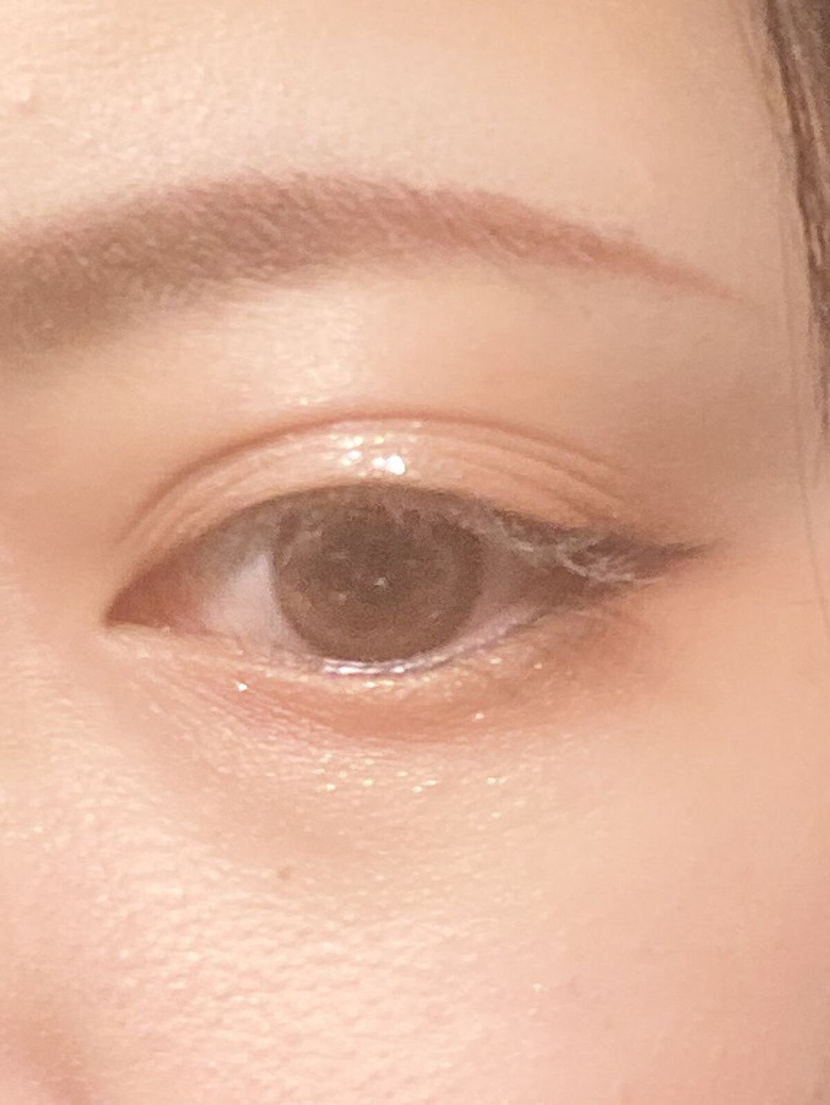 ペリペラ インク ポケット シャドウ パレット 01 MY LITTLE REDBEAN/PERIPERA/アイシャドウパレットを使ったクチコミ（3枚目）