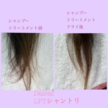 LPTケラチンリペアトリートメント/Daleaf/洗い流すヘアトリートメントを使ったクチコミ（4枚目）