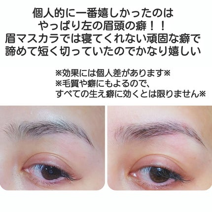 タフブローリフトキット/ENTROPY/その他キットセットを使ったクチコミ(5枚目)