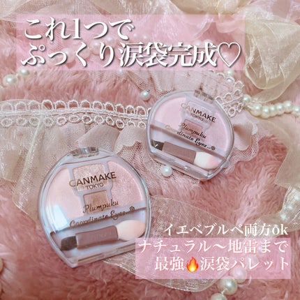 プランぷくコーデアイズ/キャンメイク/パウダーアイシャドウを使ったクチコミ(1枚目)