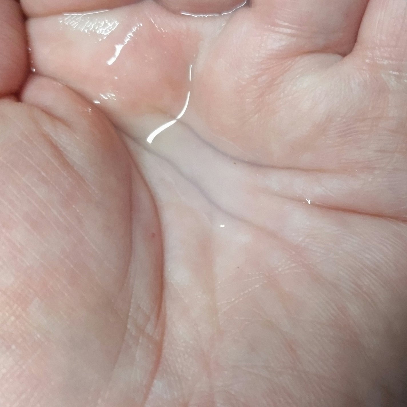 ハトムギ化粧水/麗白/化粧水を使ったクチコミ(3枚目)