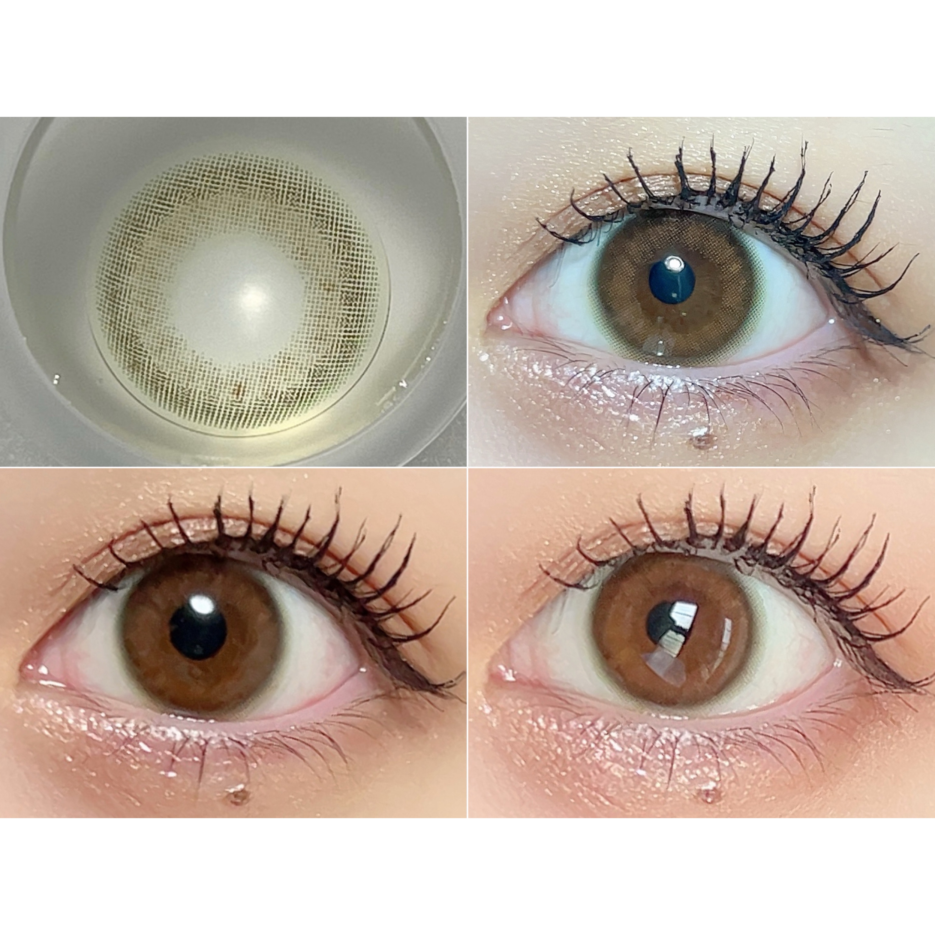 candy magic ピュアリティサークルのクチコミ「Purity by Diya CIRCLE 1day♡全5種類つけ比べ

1️⃣モアブラウン
.....」（2枚目）