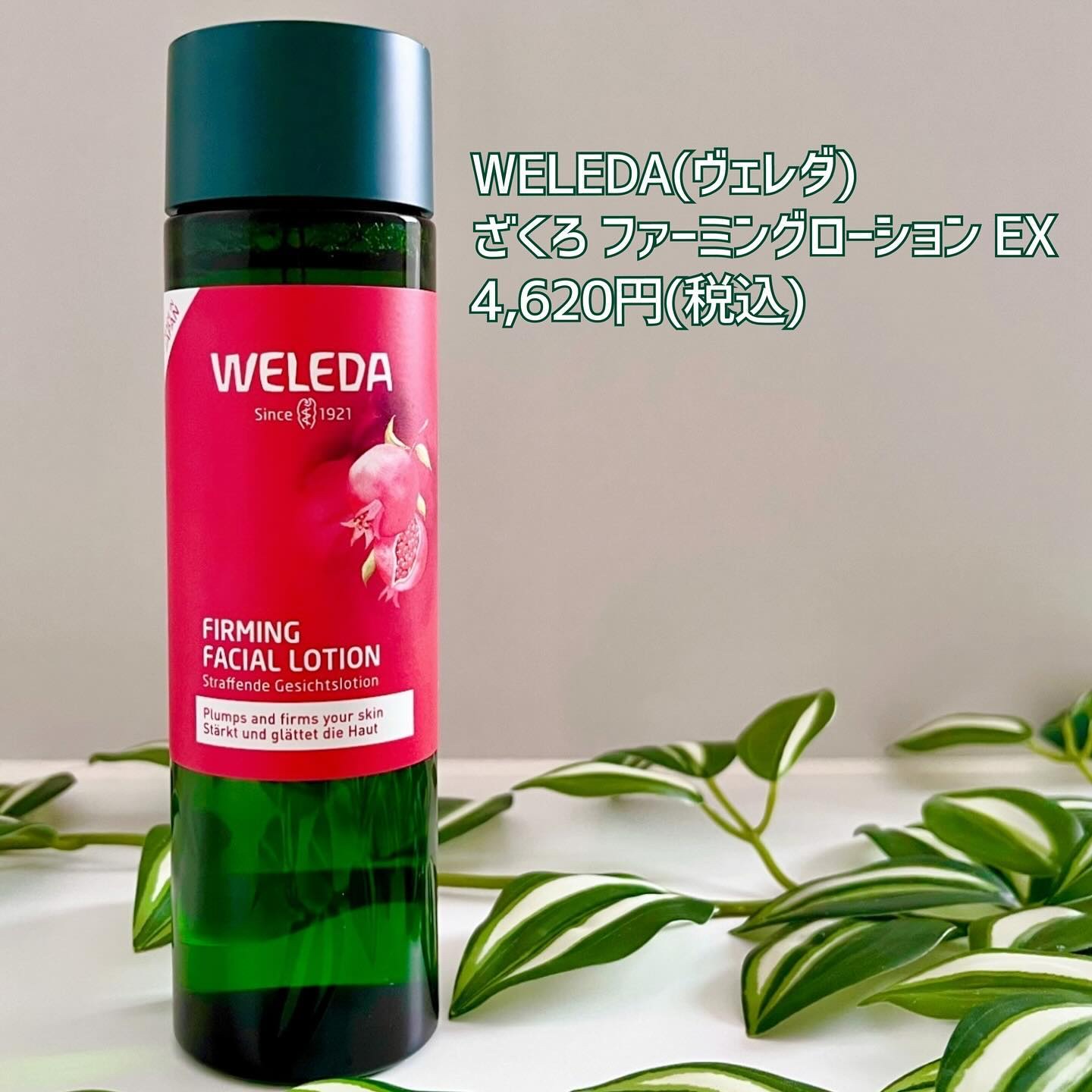 ざくろ ファーミングローション EX/WELEDA/化粧水を使ったクチコミ（2枚目）