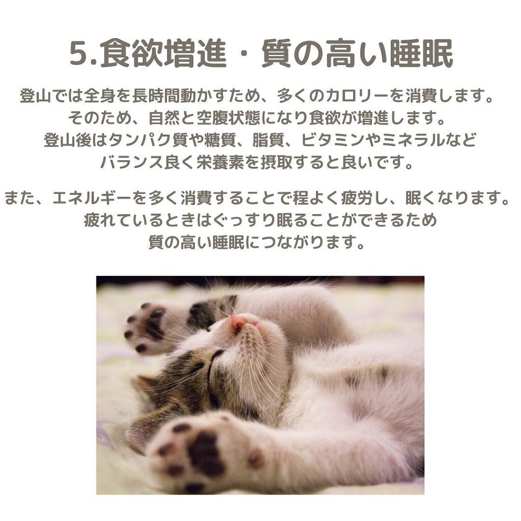 まいことあーこ on LIPS 「ㅤㅤㅤㅤㅤㅤㅤㅤㅤㅤㅤㅤㅤこんばんは!まいことあーこです🌼ㅤㅤ..」(7枚目)