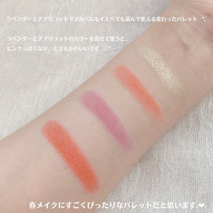 アイランドアドベンチャー4アイシャドウ/HEXZE(ヘックスゼ)/アイシャドウパレットを使ったクチコミ(7枚目)