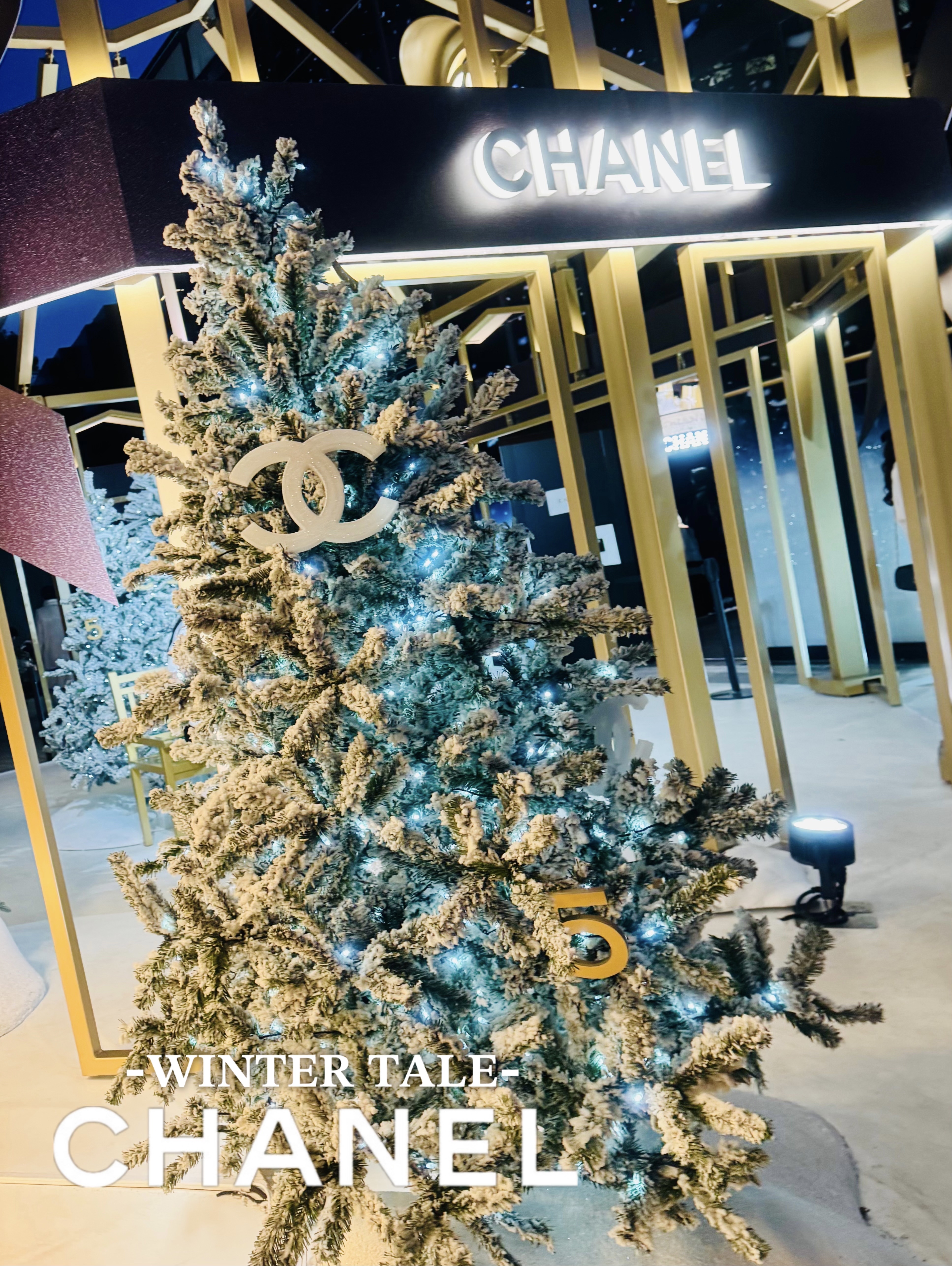 シャネル N°5 オードゥ パルファム (ヴァポリザター)/CHANEL/香水(レディース)を使ったクチコミ（3枚目）